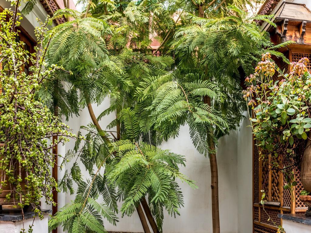 Riad Les Trois Cours Marraquexe Exterior foto